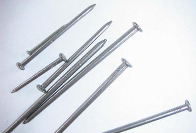 China Q195/Q235 common wire nails for sale