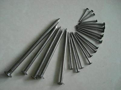 China Supply Common Nail,Iron Nails for sale