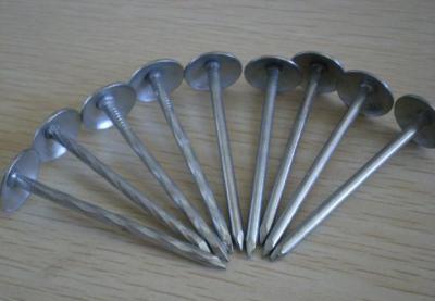 China Umbrella head roofing nails from China for sale