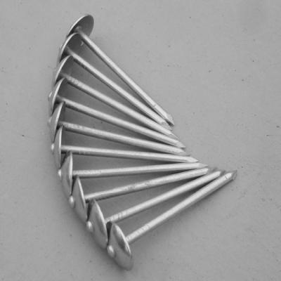 China Roofing nails with umbrella head from China for sale