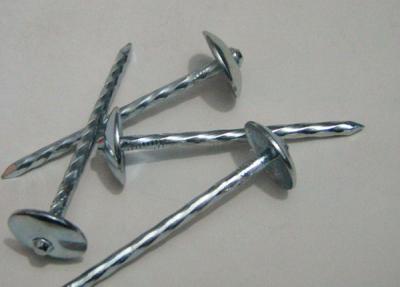 China Screw Shank Galvanized Umbrella Head Roofing Nail for sale