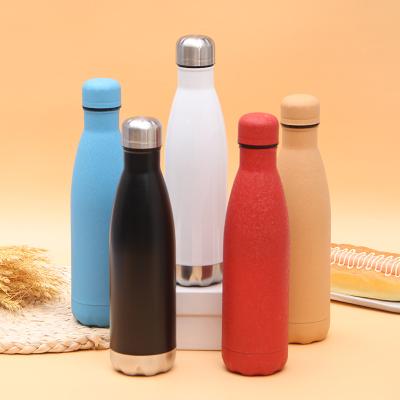 China PORTABLE Stainless Steel Water Bottle Sports Water Bottle Glossy Double Walled Vacuum Insulated Cola Shape Travel BPA Free Thermal Flask for sale