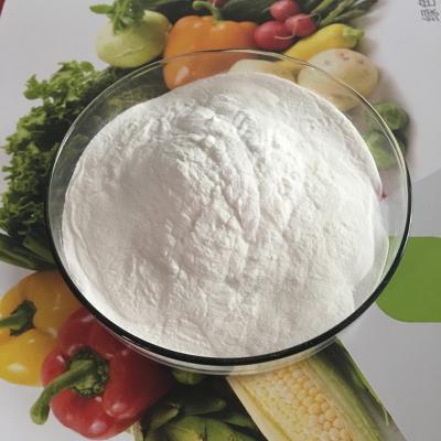 Китай 900g/cm2, 1000g/cm2 PoAgar Agar wder For Sale CAS 9002-18-0 Buy agar xanthan gum food additive food thickener powder продается