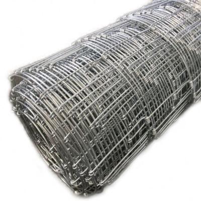 China Hot Dipped Galvanized Fence Mesh China Manufacturer 2.5Mm Wire Sports Field Fence for sale