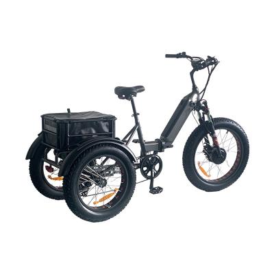 China Aluminum Alloy Aluminum Top Three Wheels Fashion Electric Bike Without Basket for sale