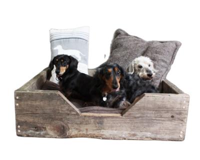 China Viable Dog or Cat Bed - Reclaimed Wooden Custom Rustic Bed for sale