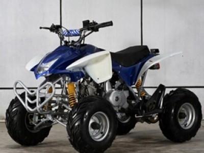 China 110cc Air Cooled Auto Clutch ATV/Quad for sale