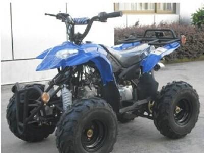 China 50cc/110cc Air Cooled Auto Clutch ATV for sale