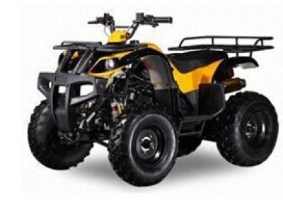 China 150cc-300cc Air Cooled ATV/Quad for sale