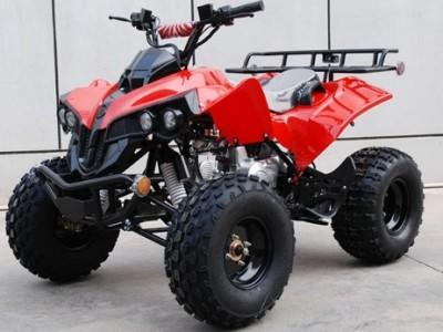 China 110cc Quad Bikes for sale