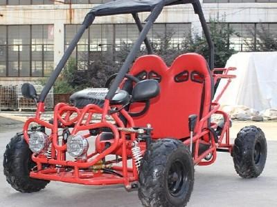 China 110cc Mini Go Kart for sale