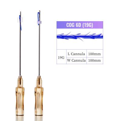 China Hochwertiges Facelift-PDO-Fadenlift für das V-Line-Modell Cog 6D 19G PDO-Lifting-Faden zu verkaufen