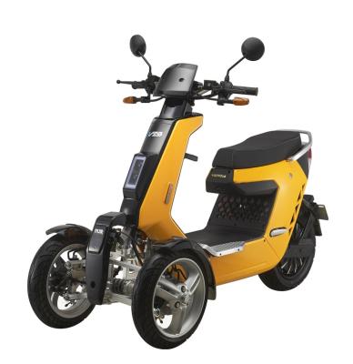 China V28 Passenger EEC 2000W 3000W Electric Scooter Tricycle Eletrica 3000W for sale