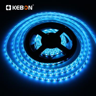 China Ip65 2700k 12v 24v RGB 5050 Smd Decorative Lighting Outdoor Waterproof Ultra Thin Dimmable Flexible Led Strip Lamp for sale