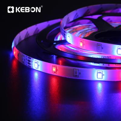 China Decorative Lighting Cheap Price 5m Rgb Ip20 Led Flexible Led Strip Light 2835smd Dc12v 30leds/m for sale