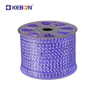 China 2021 Residential How Sell Led Strip Ip65 100m Building Decoration 5050 RGB Led Strip Light for sale