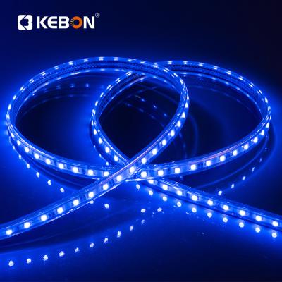 China Residential Decoration Led SMD 5050 RGB 100M Waterproof Flexible Yellow Blue Led Strip Light for sale