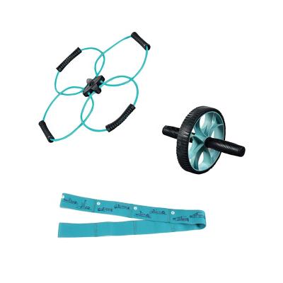 China Durable Roller Kit Portable 3PCS Ab Wheel Equipment For Home Exercise Muscle Strength for sale