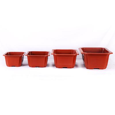 China Minimalist XINYE Environmental Protection Vegetable Plant Pot Square Plastic Pot For Bonsai Terracotta for sale