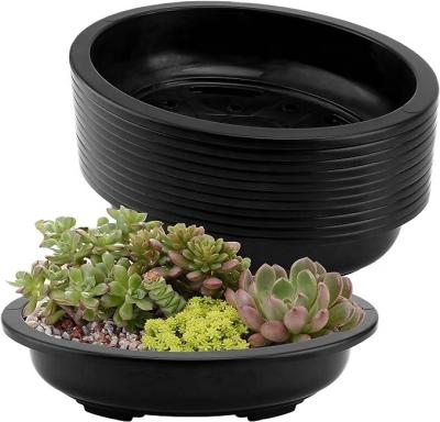 China Minimalist Hot Oval Bonsai pot Plastic Vegetable Nursery Planting Pots With Holes For Orchid for sale