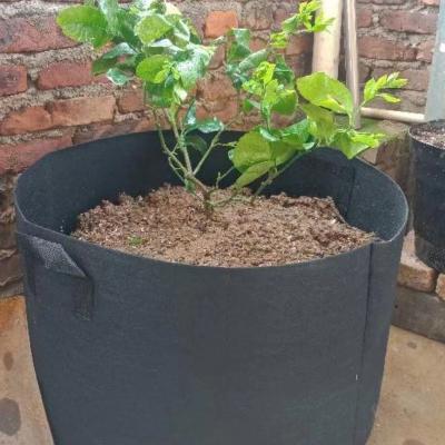 China Plant Growth 1~400 Gallon Garden Ornaments Plant Pots Garden Pot Fabric Grow Bags For Plants for sale