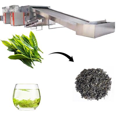 China Medicine Curing Good Quality Tea Leaf Dryer Machine With Hot Air Stainless Steel Mesh Belt Tea Drying Oven for sale