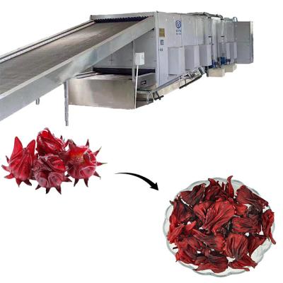 China Hot Sale Roselle Dryer Mesh Belt Drying Machine Large Face Factory Air Supply Pipe I Shaped Flower Dryer Machine for sale