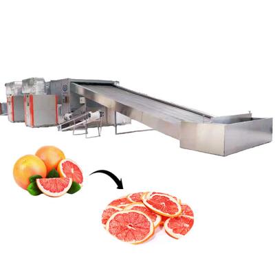 China big face i - shaped air supply pipe customized stainless steel grapefruit dryer drying machine for industrial processing vegetable fruits dryer machine for sale