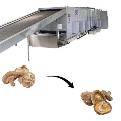 China New Design I-shaped Fresh Mushroom Automatic Hose Air Supply Large Face Circulation Hot Air Dryer For Mushroom Drier Machine for sale