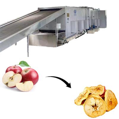 China Medicine Curing Large Capacity Hot Air Circulation Belt Dryer Apple Dryer Machine with Heat Pump for Fruit Vegetable Dehydration Drying Machine for sale