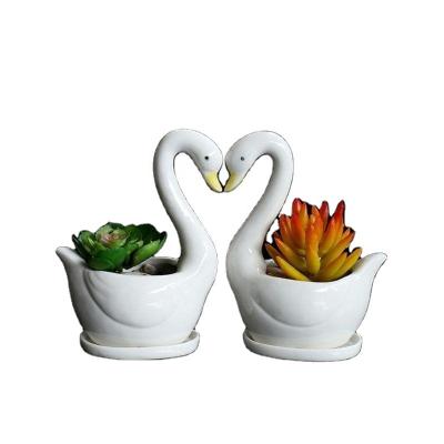 China Whole White Ceramic Succulent Planter Flowerpot Plant Pot Flower Swan Desktop DIY Home for sale