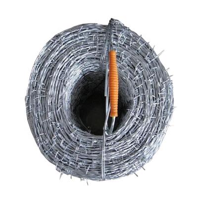 China Iron Wire South Africa Galvanized Barbed Wire For Sale for sale