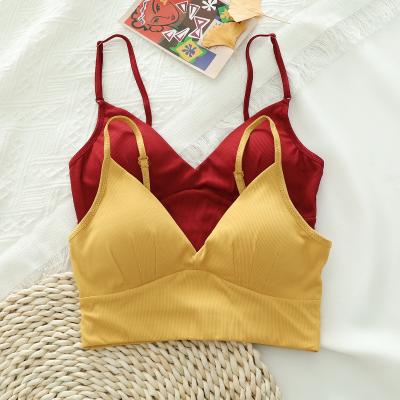 China Factory new beauty backless women fashionable triangle cup backless tube tops bra cheekier seamless bra for girls sleeping wireless thin underwear for sale