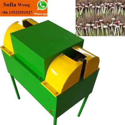 China High Efficiency Vegetable Garlic Tail Cutter Root Cutting Machine Garlic Root Cutting Machine for sale