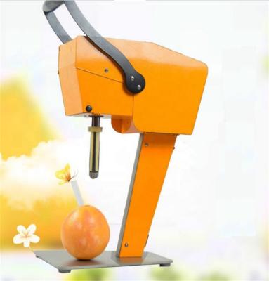 China Easy Operation Fresh Fruit Juice Machine Orange Juice Machine Popular In Korea And America for sale