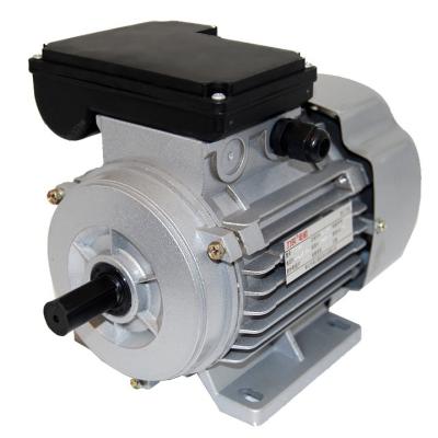 China Totally Enclosed Series Capacitor Motor 220v AC Electric Induction Motor for sale