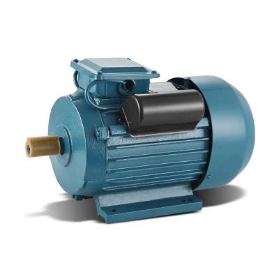 China YL Series Totally Enclosed Two-Value Capacitor Single Phase Asynchronous Motor 220v Single Phase AC Electric Induction Motor for sale