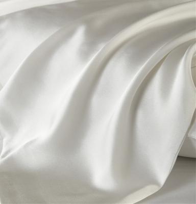 China 100% Eco Pillowcases Pillow Cases Techniques Pattern Sustainable Luxury Simple Hotel Feature Silk Material Pillowcase for sale