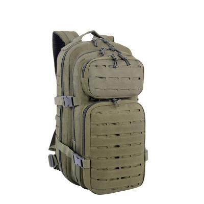 China LHI 2020 Waterproof Outdoor Camping Hunting Hiking Bag Waterproof Military Army Mid Chain Hydration Molle Tactical Backpack for sale