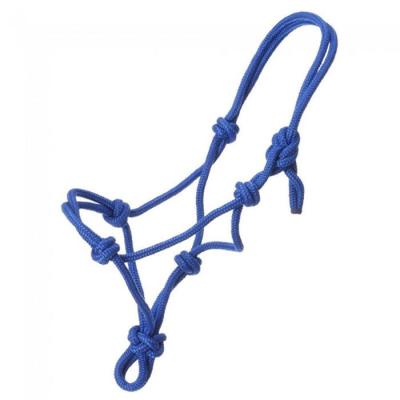 China Horse accessories Customize Polyester Designs Manufacturer Horse Rope Halter for sale