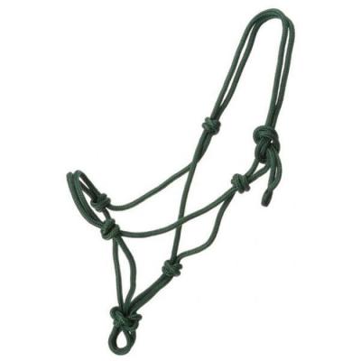 China Horse accessories Custom Logo Adjustable Nylon Webbing Rope Horse Halters Polyester Lead Rope for sale