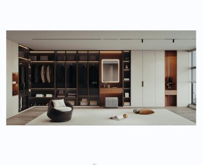 China Adjustable (other) household wardrobe wood bedroom closets cabinets custom walldrope wardrobe bedroom set for sale