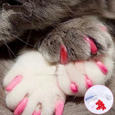 China Sustainable Dog Cat Soft Paws Nail Protector Cover With Free Adhesive Glue + Applicator for sale