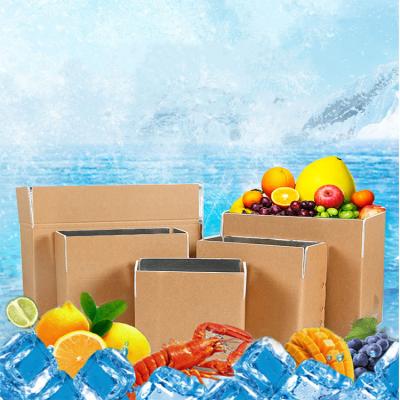 China Recycled Materials Fruit Insulation Box Insulation Material Cold Chain Logistics New Insulation Cardboard for sale