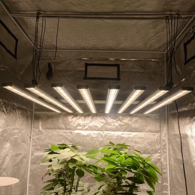 China Seed Starting Samsung Chip Custom Growing Indoors 640W 800W 960W Full Spectrum LED Grow Light Indoor Hydroponic Plants for sale