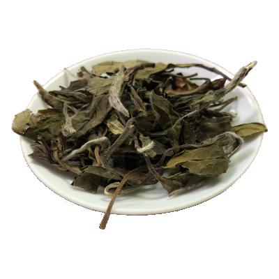 China Loose Tea Loose Leaf Tea White Winnowings Fudin Organic Off White Tea for sale