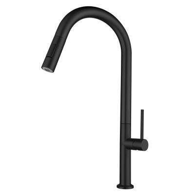 China High Grade Minimalist Matte Black Restaurant Sink Faucet Mixer Sink Faucet With Pull Out Spout for sale