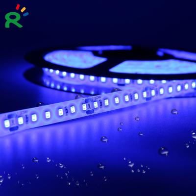 China LANDSCAPE decorative led strip IP65 waterproof smd2835 120LEDs/m 24V blue color for outdoor for sale