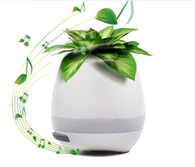 China Music Illuminated Flower Pots With LED Light And Bluetooth For Christmas Gift for sale