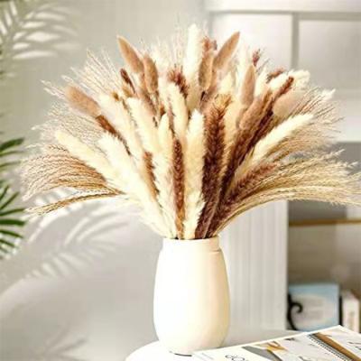 China Custom Made Pink 70pcs/set Dry Flower Big White Beige Dry Fluffy Pampas Grass Wedding Decor Natural Preserved Dried Flower Pampas Grass for sale